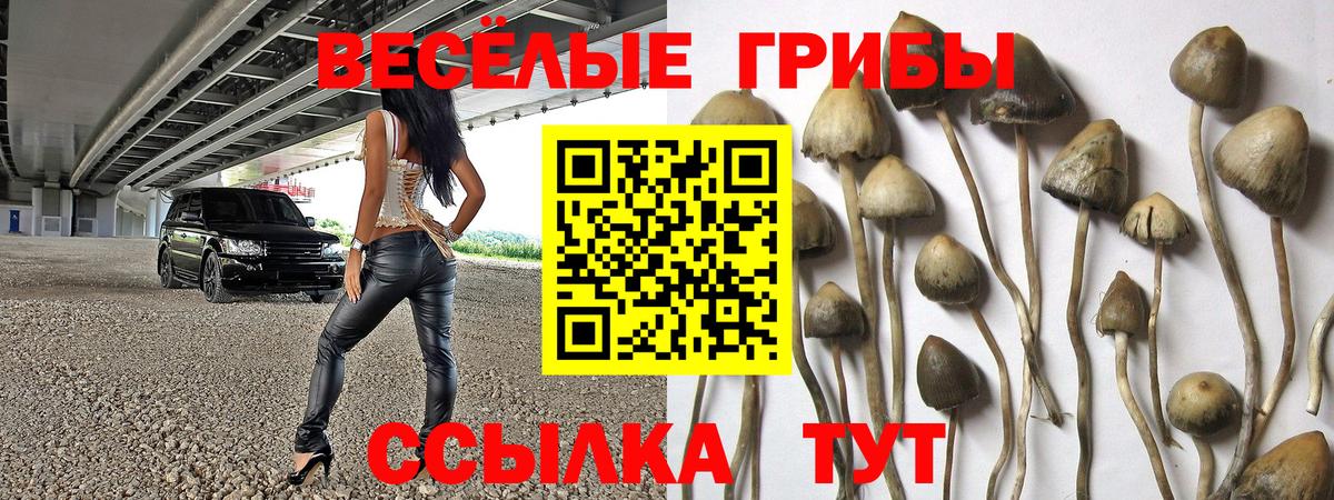 Галлюциногенные грибы прущие грибы Городец