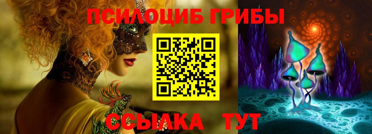 Галлюциногенные грибы Psilocybine cubensis  Вход с VPN  Городец 